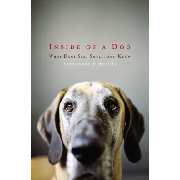 Pre-Owned Inside of a Dog: What Dogs See, Smell, and Know (Hardcover) 1416583408 9781416583400