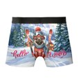 thumbnail image 2 of Hello Welcome Winter The Ski Pug Snowy Day All Over Print Boxer Briefs Underwear for Men Dad Dog Lover Gifts - 13013, 2 of 6