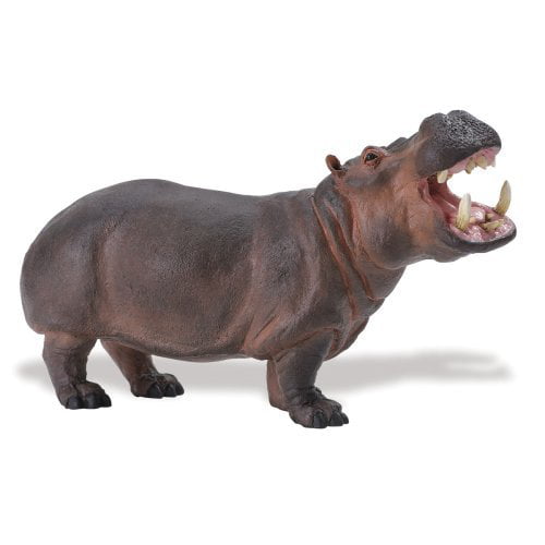 Safari Ltd Wildlife Wonders Hippo - Walmart.com