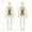 CompletelyTranspareny, variant on 2pcs Human Anatomy Model Kit - Detachable Skeleton & Full-Body Torso with Removable Organs for Medical Education & Classroom Learning