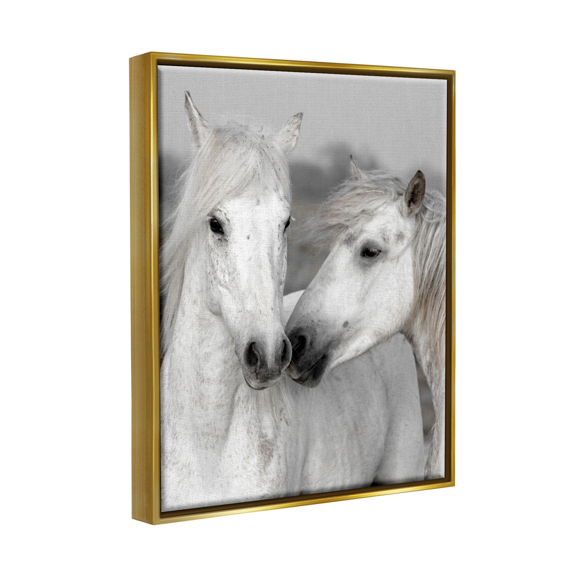 White Horse Kiss Wildlife Animals & Insects Photograph Metallic Gold Framed Art Print Wall Art