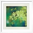 thumbnail image 2 of Art.com Natures Fern II Art Print, White Frame Wall Art, 21" x 21", 2 of 5