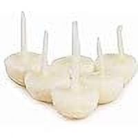 PRABHUPRIYA Mogra Ghee Jyot Batti 30 Pcs Pack of 2 Cotton Wick Pooja Room Items for Home | Ghee Wicks for Prayers & Special Occasions
