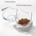 thumbnail image 2 of 15°Elevated Cat Food Bowls with Stand,Double Raised Cat Transparent Plastic Bowl, Stress-Free Suit for Cats and Small Dogs, Anti Vomiting cat Bowl, Cute Cat Face Double Bowl,Double Bowl, 2 of 8