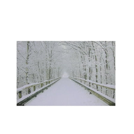 Fiber Optic Framed - Small Fiber Optic Wooden Bridge Canvas Wall Art