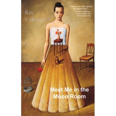 Pre-Owned Meet Me in the Moon Room: Stories (Paperback) by Ray Vukcevich