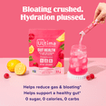thumbnail image 3 of Ultima Replenisher Gut Health Supplement & Electrolytes Powder - Raspberry Lemonade, 14 Stickpacks - Hydration Packets with Added Gut Health Benefits, 3 of 10