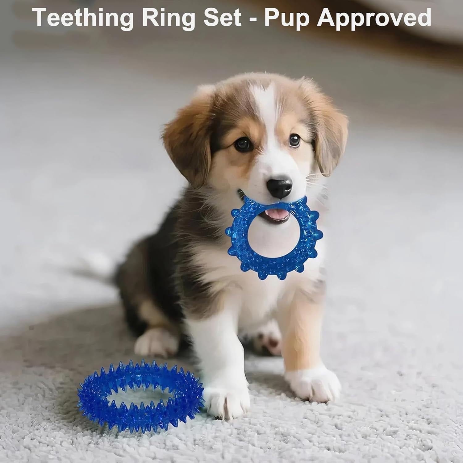 Puppy Chew Toys 20 Pack for Teething and Fun, Dog Toys for Small Puppies Bulk with Various Rubber Rings, Ropes and Balls for Interactive Play, Teeth Cleaning & Relief