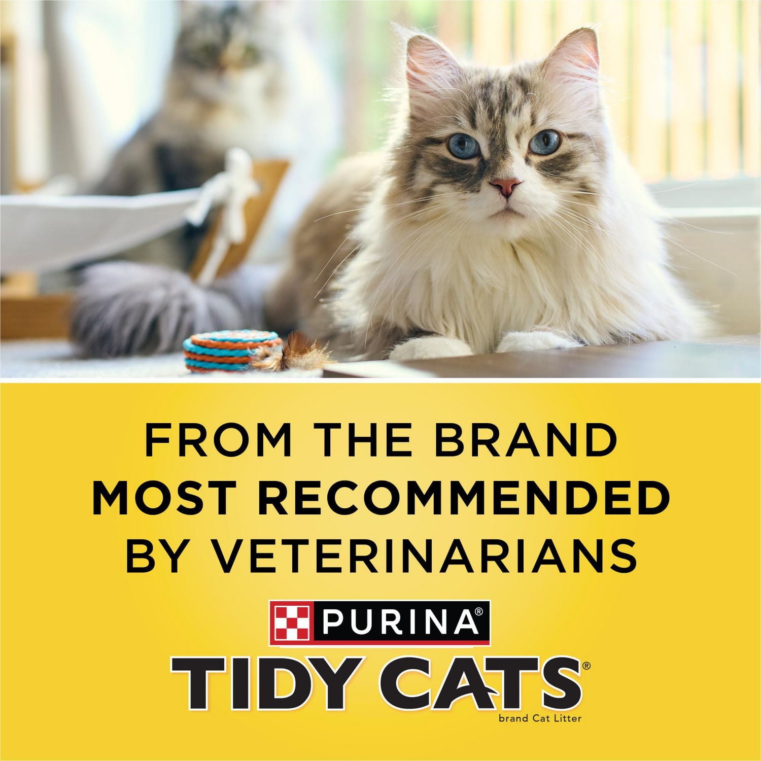 Tidy Cats Tidy Care Alerte Multi-Chats, Litière pour Chats 3,63 kg 3,63 kg