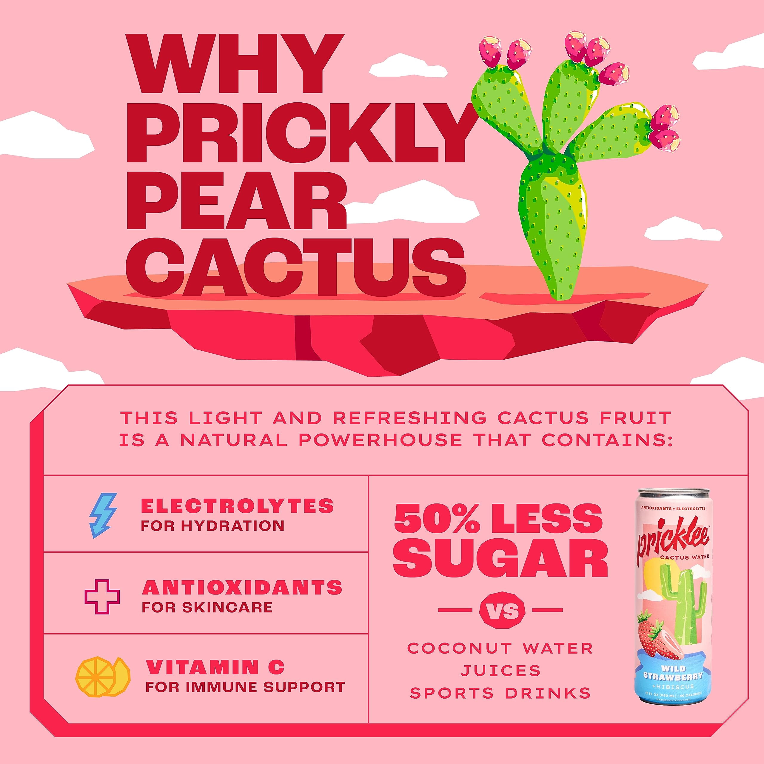 (Pack Of 12) Pricklee Water Cactus Wild Strawberry 12 Fo