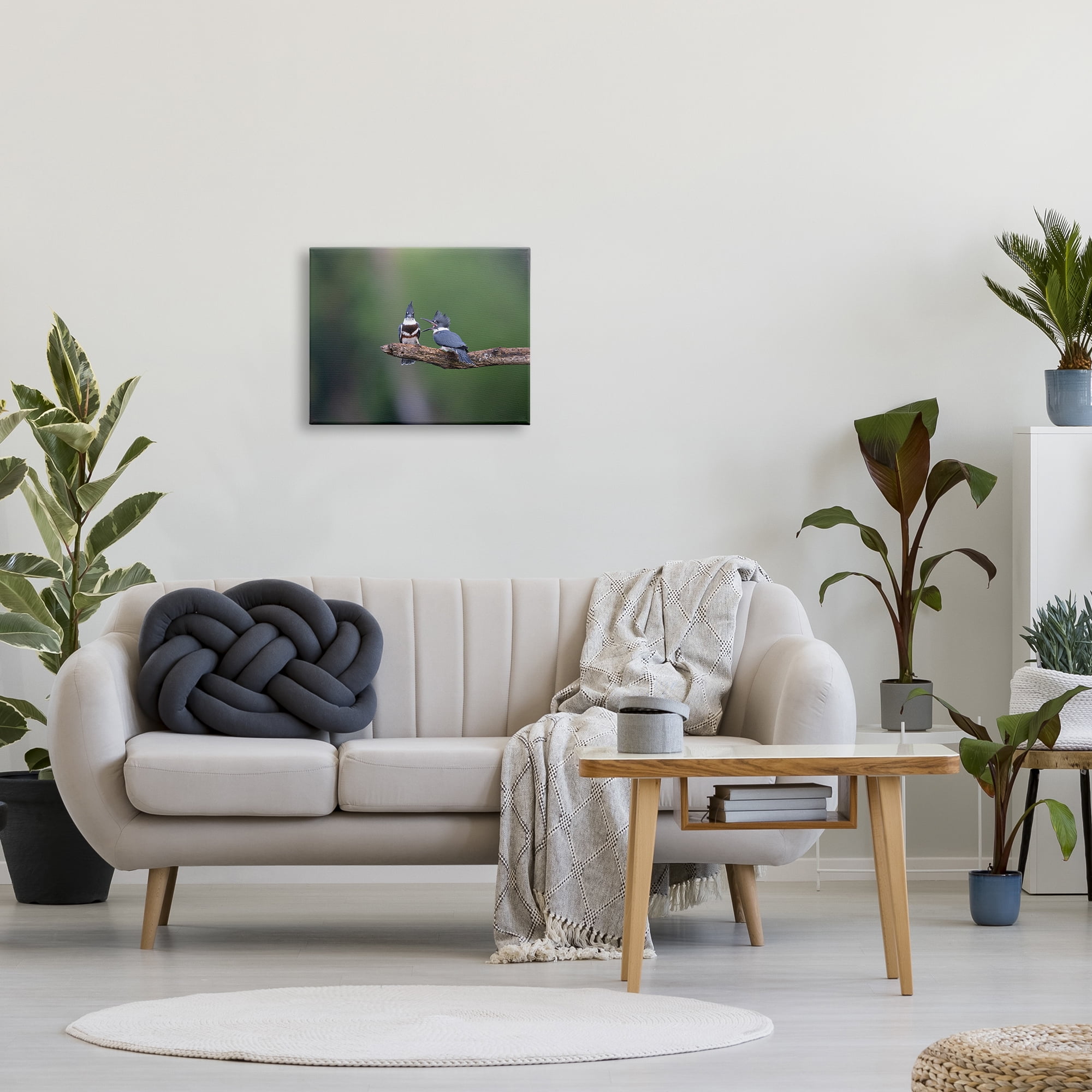 Stupell Industries Blue Jays on Branch Animals & Insects Photography Gallery Wrapped Canvas Art Print Wall Art, 20 x 16