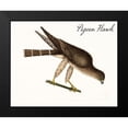 thumbnail image 2 of Vintage Apple Collection 24x20 Black Modern Framed Museum Art Print Titled - Pigeon Hawk, 2 of 5