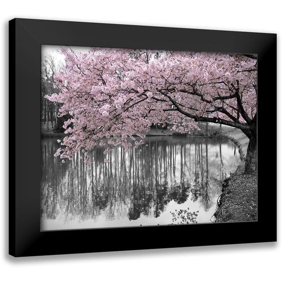 Anonymous 14x12 Black Modern Framed Museum Art Print Titled - Violet Reflections II