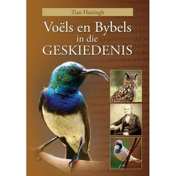 VOÃLS EN BYBELS IN DIE GESKIEDENIS (Volkleur Uitgawe), (Paperback)