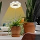 thumbnail image 2 of Luces de Cultivo Plantas para Interior, Luz LED Espectro Completo con Soporte Desmontable, Temporizador AutomáTico, 2 of 5