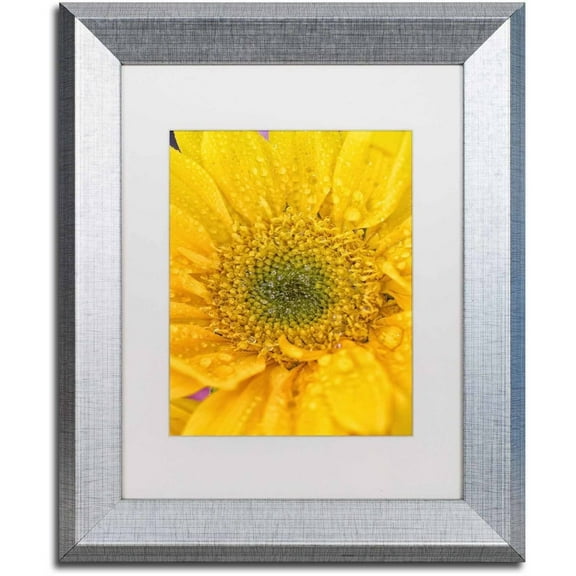 Trademark Fine Art 'Joyful Color' Canvas Art by PIPA Fine Art, White Matte, Silver Frame