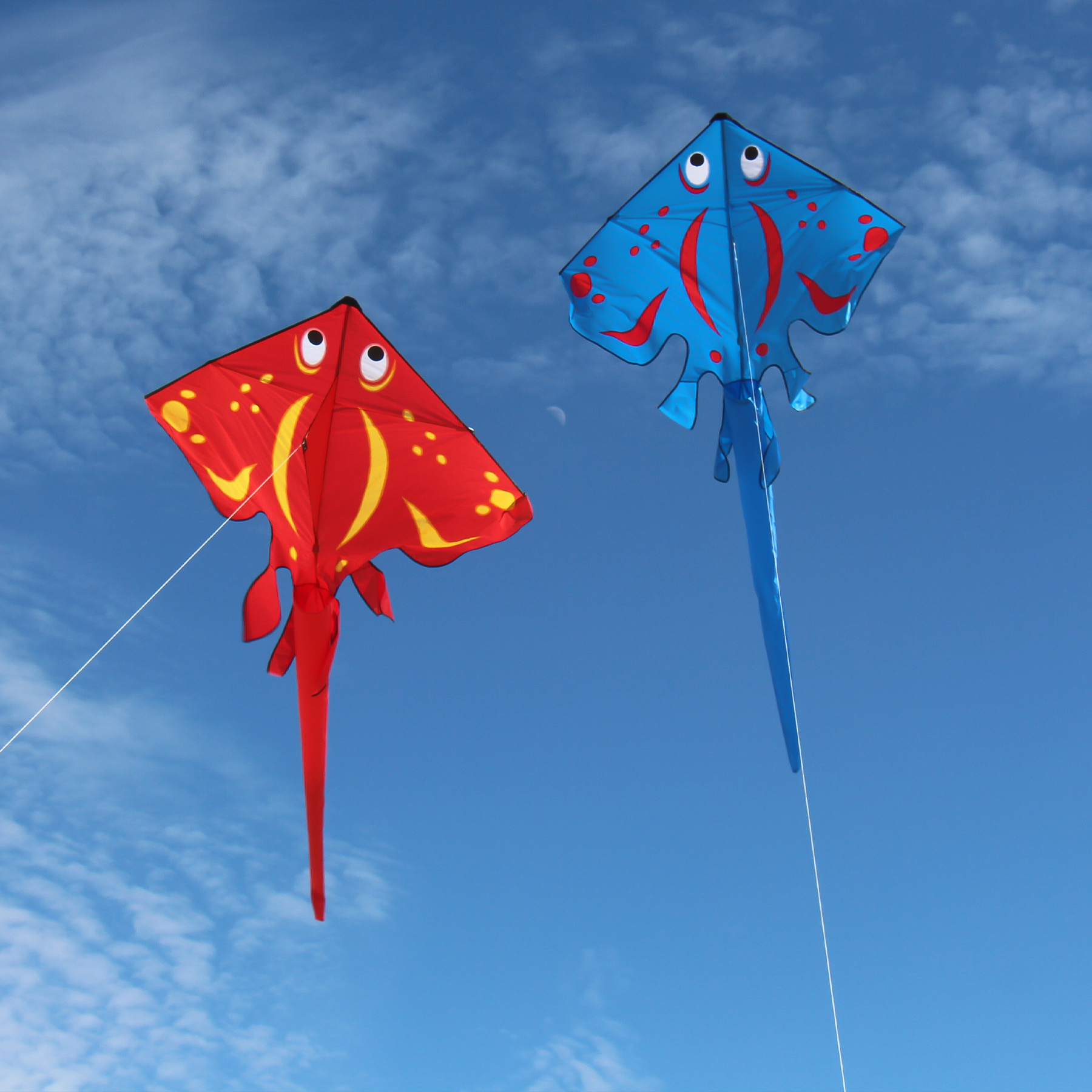 In the Breeze 3220 — Blue Stingray Kite - Large Single Line Kite - Ripstop Fabric - Kite Line and Bag Included