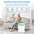 thumbnail image 2 of 211+Replacement Filter Compatible with Blueair Blue Pure 211+ Air Puri-Fier, 2 in 1 Filtration of Particle Dust Pet Dander Filter, 2 of 7