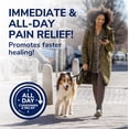 thumbnail image 4 of Amortiguadores para ampollas Seal & Heal, vendaje Dr. Scholl's de 12 unidades, 4 of 9