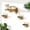 Rectangular, variant on Corner Cat Wall Shelves 3-Step Wood Floating Stairs For Small/Medium Cats