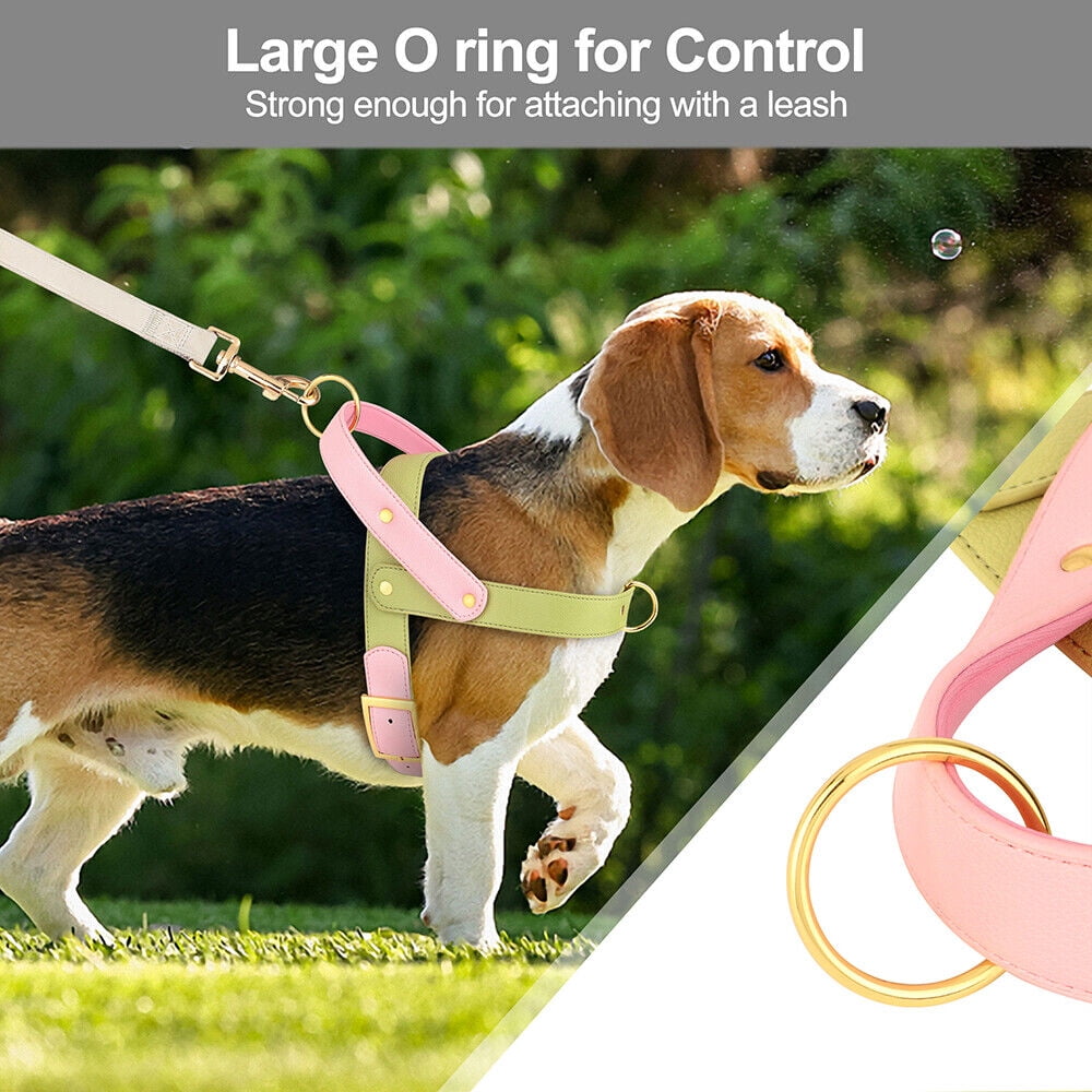 Didog Fashion No Pull Front Leading Dog Harness Soft Leather Adjustable Chest Vest with Handle