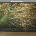 thumbnail image 6 of Ambesonne Peacock Place Mats Set of 4, Exotic Dark Feathers, Standard Size, Mustard Green, 6 of 6