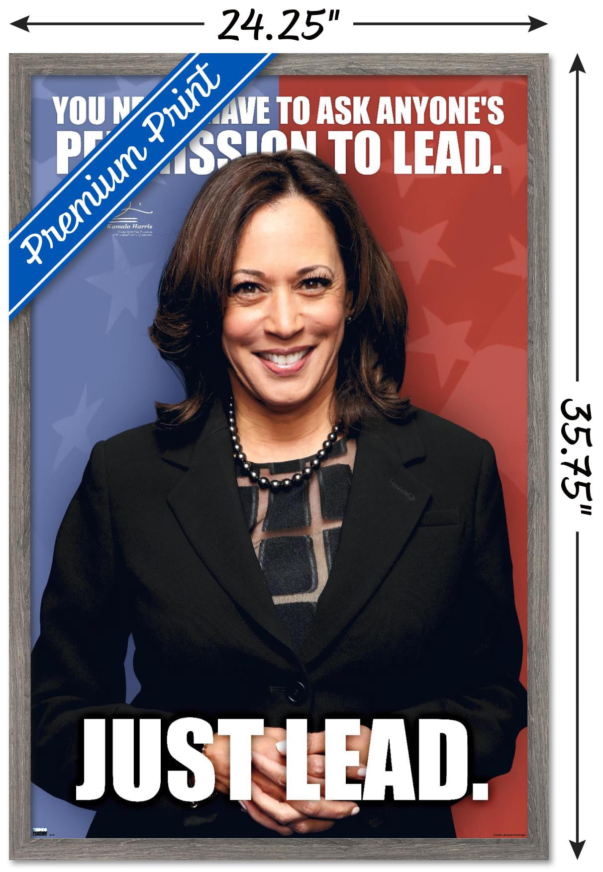 Trends International Kamala Harris - 2021 Vice President Wall Poster 24.25" x 35.75" x .75" Barnwood Framed Version