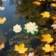 thumbnail image 4 of Greenadscape 6Ud Flores De Loto Artificiales Flotantes Con Almohadillas Para Y, 4 of 6