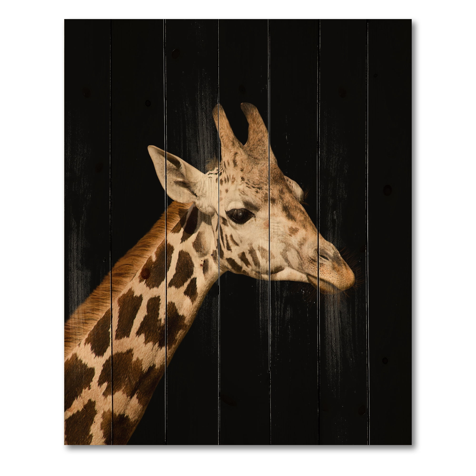 Designart 'Close Up Portrait Of A Giraffe On Black IV' Farmhouse Print on Natural Pine Wood