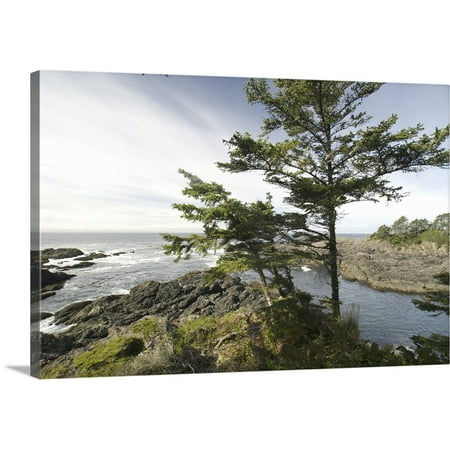 Great BIG Canvas | Roddy Scheer Premium Thick-Wrap Canvas entitled Wild Pacific Trail, Pacific Rim National Park Reserve, Ucluelet,