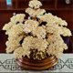 thumbnail image 5 of Árbol de la fortuna de citrino con base incrustada, adorno de mesa de equilibrio Feng Shui Reiki, 5 of 6