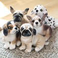 thumbnail image 2 of 1pc 18cm Simulation Cute Dog Plush Toys Lovely Husky Akita Rottweiler Animal Dog Dolls Stuffed Soft Toys for Kids Boys Xmas Gift20CM4 Deng Xun unisex, 2 of 2