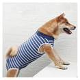 thumbnail image 1 of Sincero Traje de recuperación para perros, traje de recuperación quirúrgica para perros para heridas abdominales masculinas o enfermedades de la piel, alternativas a los collares electrónico, 1 of 5