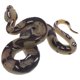 thumbnail image 1 of BRIGHTFUFU Modelo de serpiente de alta simulación juguete Big Realistic Snake Halloween Truco espeluznante Toy de serpiente de miedo, 1 of 8