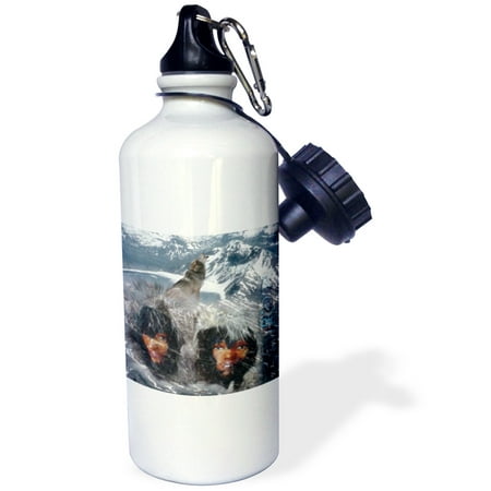3dRose Native Winter Spirit in Alaska, Sports Water Bottle, (Best Winter Gear For Alaska)
