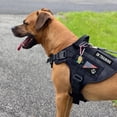 thumbnail image 4 of Patch J.CARP Service Dog Therapy Dog Dog Set, 12 piezas, 4 of 6