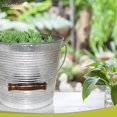thumbnail image 5 of Galvanized Ribbed Bucket Planter - 10", 5 of 5