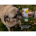 thumbnail image 6 of Gou Gou Pets Holistic Natural Derived First Aid Ointment for Dogs, Cats, and Horses for Many Types of Wounds: Minor Wounds, Open Wounds, Bite Wounds, Puncture Wounds and More - Made in USA - 1 oz, 6 of 7