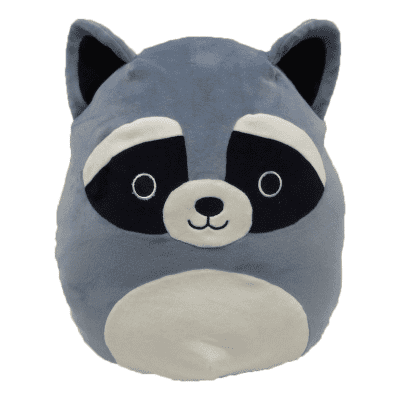 rocky the raccoon squishmallow