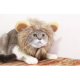 thumbnail image 2 of Halloween pet hat cat hat Velcro adjustable L, 2 of 5