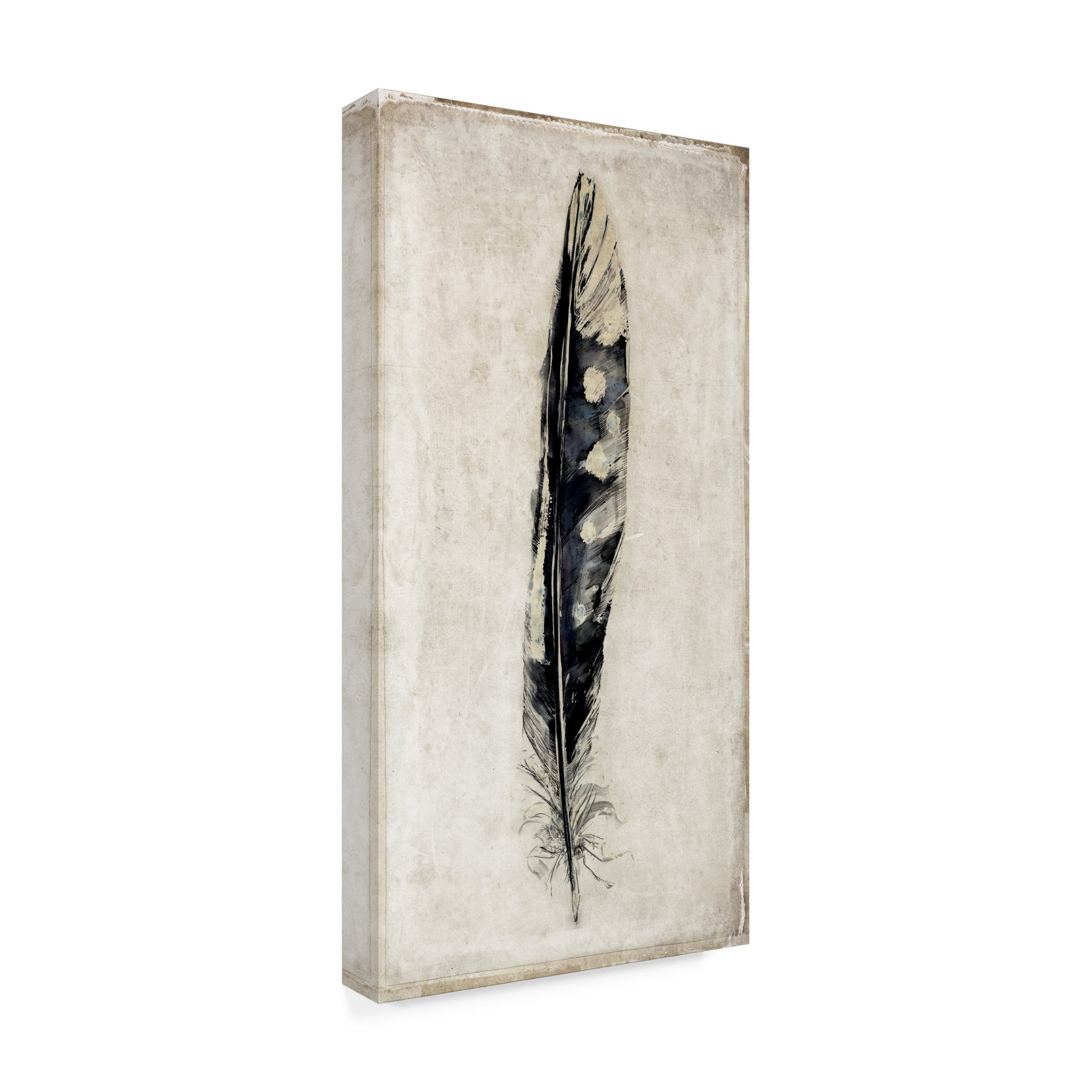 Symposium Design 'Feather 3' Canvas Art