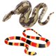 thumbnail image 4 of FELTECHELECTR 2 modelos de serpientes de broma, juguete de serpiente espeluznante, modelo de serpiente para fiesta, juguetes de serpiente espeluznantes, serpientes falsas, 4 of 6