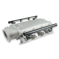 Holley EFI 300-621 Holley Modular Lo-Ram EFI Manifold LS1/2/6