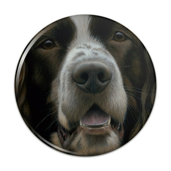 English Springer Spaniel Dog Face Closeup Pinback Button Pin