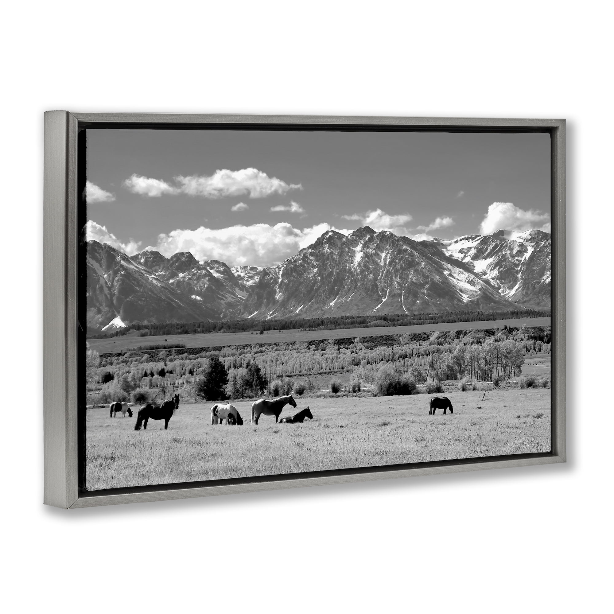 Stupell Industries Wyoming Ranch Horses Grazing Gray Framed Floater Canvas Wall Art, design by Steve Toole