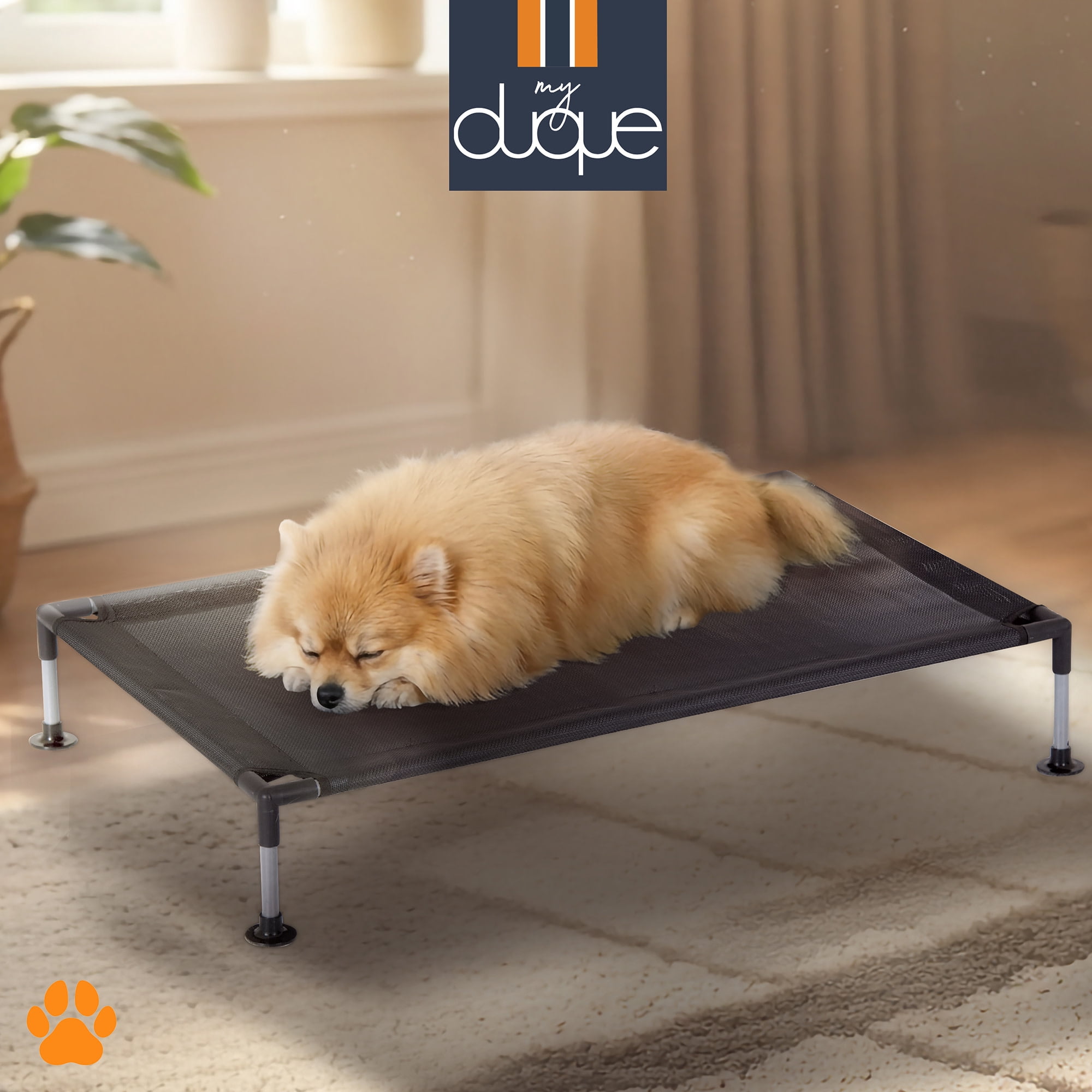 My Duque: COOLA Pet Bed - Small - Black, 23.5 x 18" Dog Lounger, Breathable Mesh Fabric, Elevated Structure For Joints, Steel Frame, Animal 30lb Cap