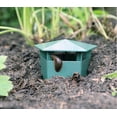 thumbnail image 5 of Lightsmax Reusable Eco-Friendly Garden Slug & Snail Trap, 4 Pack, 5 of 10