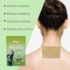 thumbnail image 2 of South Moon Herbal Soothing Patch Gentle Herbal Soothing Patch For Shoulder, Waist And Knee Discomfort, 2 of 5