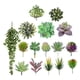 thumbnail image 1 of 16 piezas de plantas suculentas artificiales realistas (verde), 1 of 5