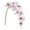 Pink, variant on ionze Artificial Orchid Stems Real Touch Orchid Fake Butterfly Orchid for Vase Home Wedding Decoration (Hot Pink)
